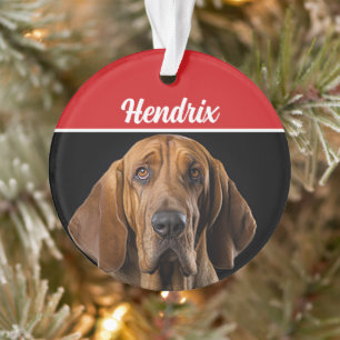 Bloodhof avec nom et photo Fête de Noël