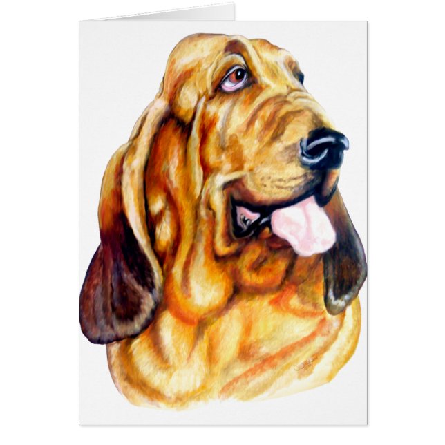 Bloodhound Bust (Vorne)