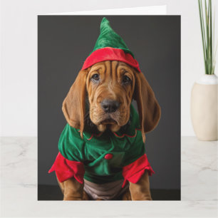 Bloodhound Elf Welpe Weihnachtskarte Karte