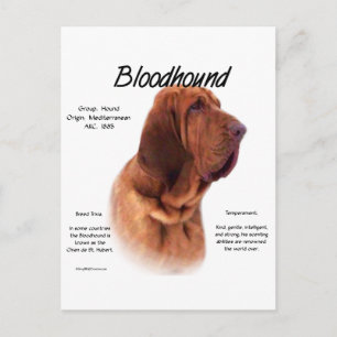 Bloodhound History Design Postkarte