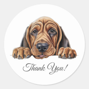 Bloodhound Hund Danke Runder Aufkleber
