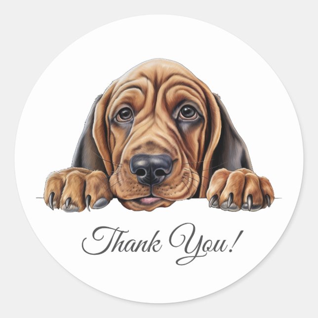 Bloodhound Hund Danke Runder Aufkleber (Vorderseite)
