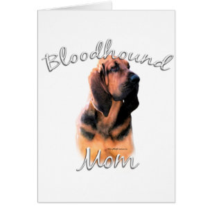 Bloodhound Maman 2