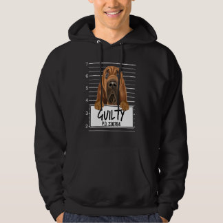 Bloodhound Mugshot Guilty Dog Hoodie