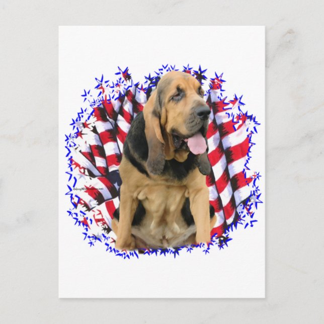 Bloodhound Patriot Postkarte (Vorderseite)