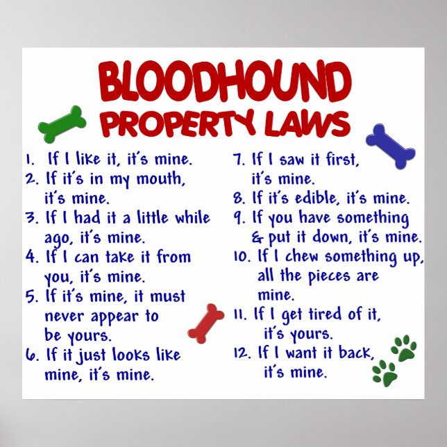 BLOODHOUND PL2 POSTER (Vorne)