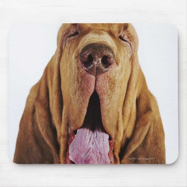 Bloodhound (St. Hubert Hound) mit geschlossenen Au Mousepad (Vorne)