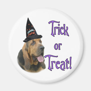 Bloodhound Trick Magnet