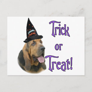 Bloodhound Trick Postkarte