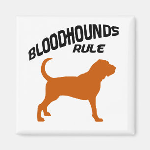 Bloodhounds-Regel Magnet