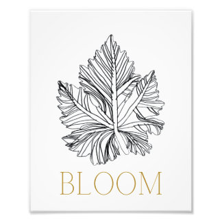 BLOOM-Druck Fotodruck