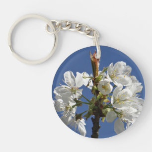Bloom du printemps blanc