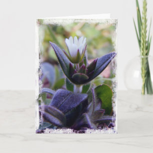 Bloom Karte
