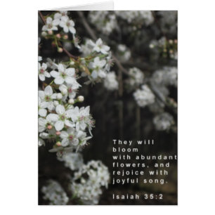 Bloom Scripture Card
