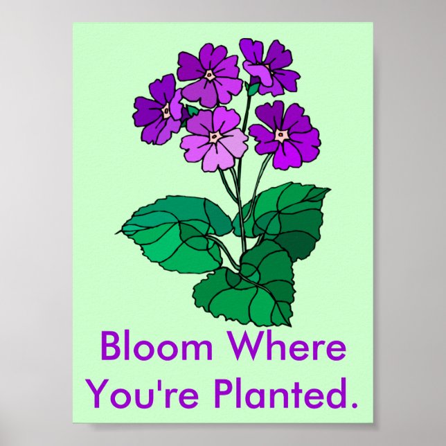 Bloom, wo du Planet bist Poster (Vorne)
