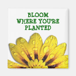 Bloom, wo du Planted Magnet bist