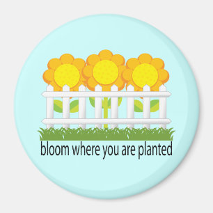 Bloom, wo Sie gepflanzt Magnet