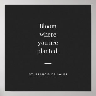 Bloom, wo Sie gepflanzt St Francis de Sales Poster