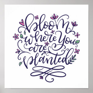 Bloom wo Sie gepflanzt werden, Handschrift Poster