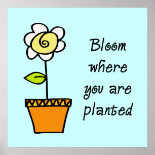 Bloom, wo Sie Plakat gepflanzt sind