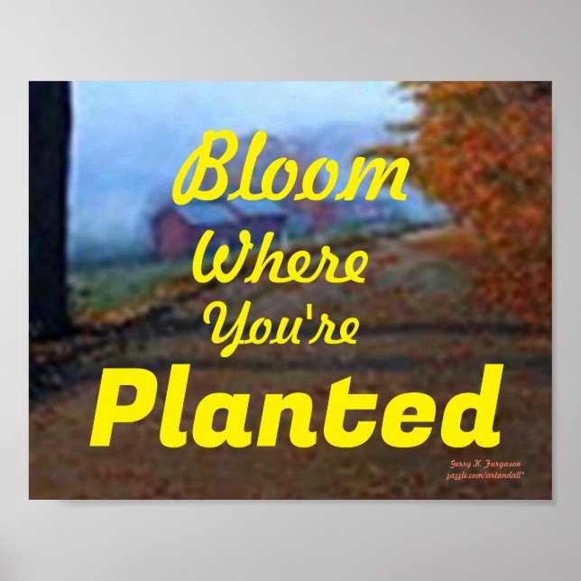 BLOOM WO SIE PLANEN SIND POSTER (Vorne)