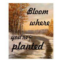 "BLOOM WO SIE PLANEN SIND POSTER