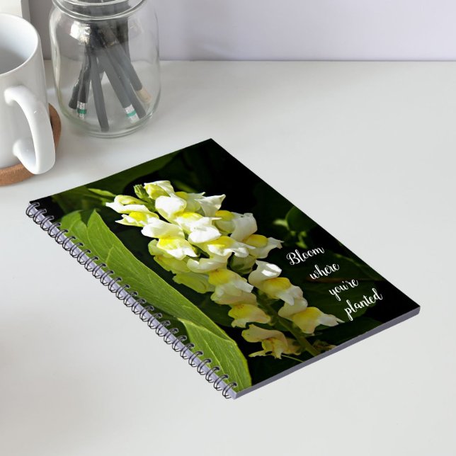 Bloom wo Sie Planted Quote Snapdragons sind Notizblock (Von Creator hochgeladen)
