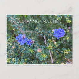 BLOOMIERWERT POSTKARTE