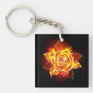 Blooming Fire Rose