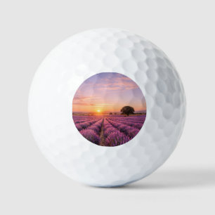 Blooming Lavender Field at Golden Sunset Provence Golfball