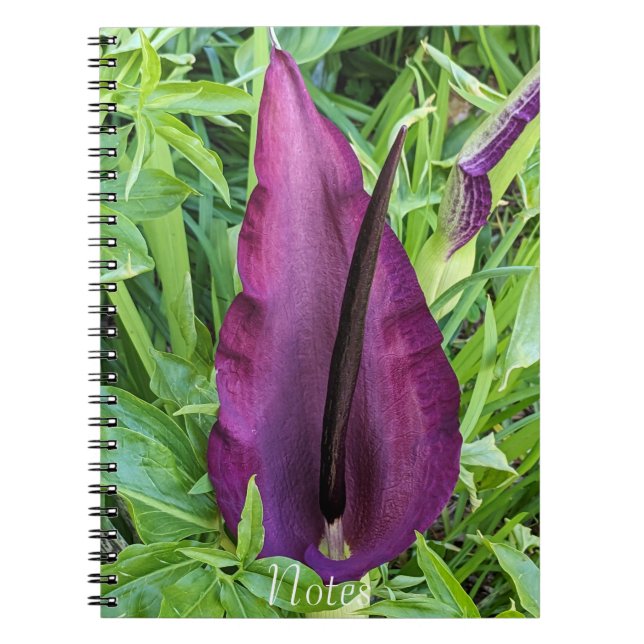 Blooming Lila Dragon Lily Floral Notizblock (Vorderseite)