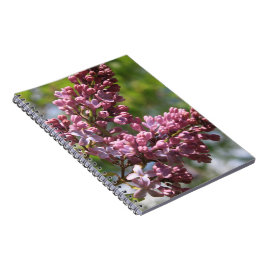 Blooming Lilacs Spiral Notebook Notizblock