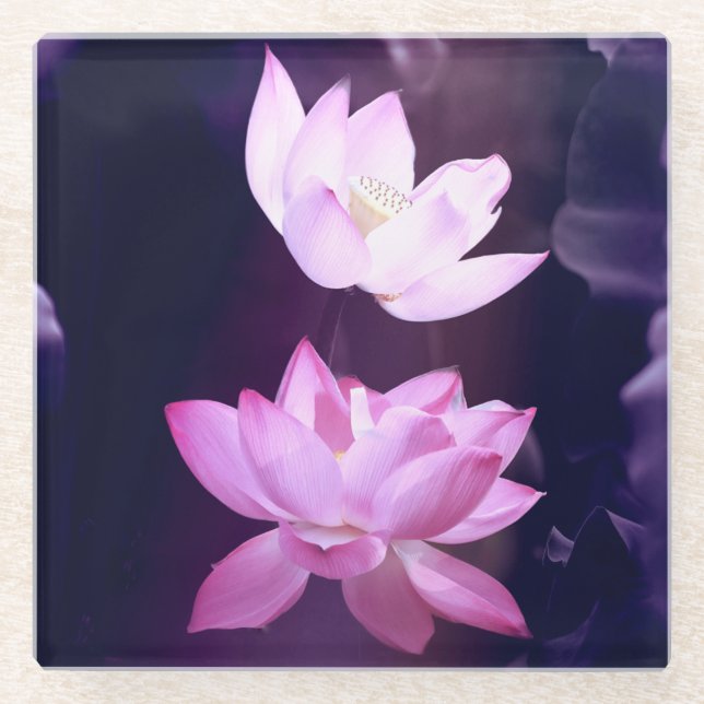 Blooming Lotus Blume Glasuntersetzer (Vorderseite)