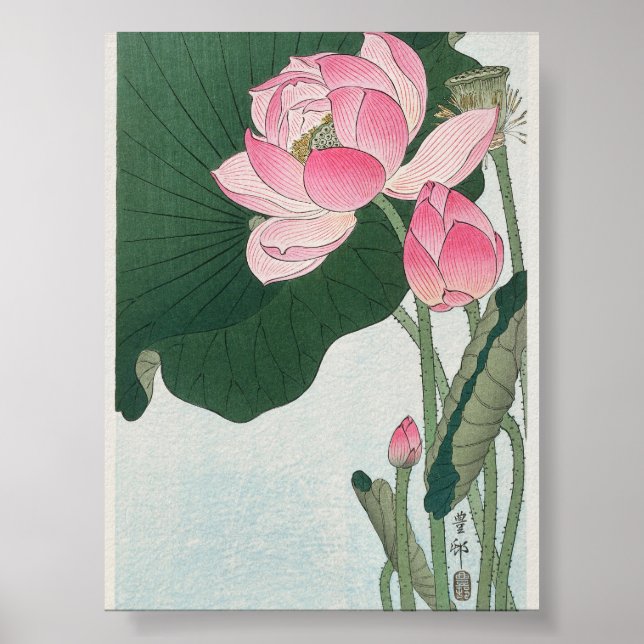 Blooming Lotus Blume von Ohara Koson (1920-1930) Poster (Vorne)