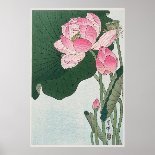 Blooming Lotus Poster (Vorne)
