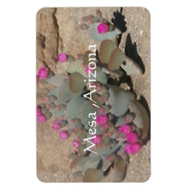 Blooming pink cactus flowers in Mesa, Arizona Magnet