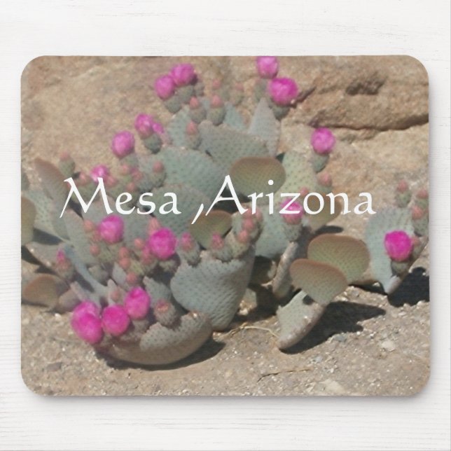 Blooming pink cactus flowers in Mesa, Arizona Mousepad (Vorne)