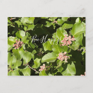 BloomingKalifornien: Bee Happy! Postkarte