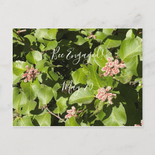 BloomingKalifornien: Bee Verlobt! Postkarte