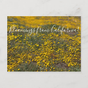 Bloomings aus Kalifornien! Postkarte