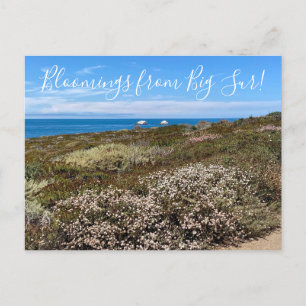 Bloomings aus Kalifornien: Sea Cliff Buckweizen Postkarte
