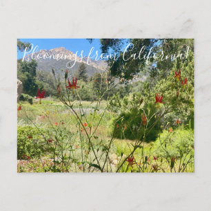 Bloomings aus Kalifornien: Western Columbine Postc Postkarte