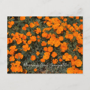 Bloomings aus Sunnyvale: California Poppy Day Postkarte