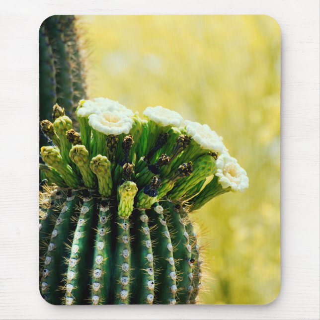 Blooms eines Saguaro Mousepad (Vorne)