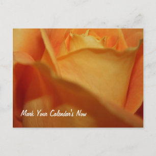 Bloquer La Carte Date Post