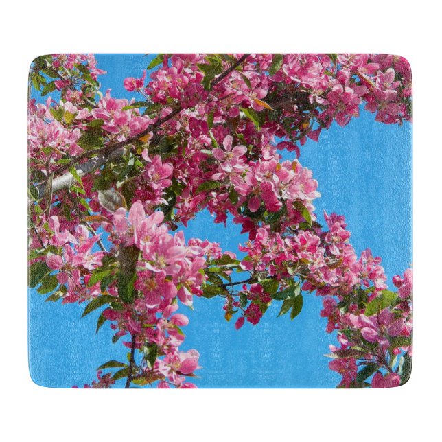 Blossom and Blue Sky Photo Schneidebrett (Vorderseite)
