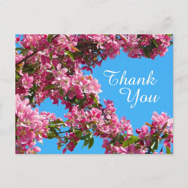 Blossom and Blue Sky Thank You Postkarte (Vorderseite)