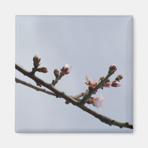 Blossom Branch Magnet
