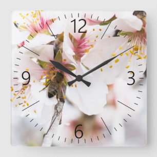 Blossom des Mandelbaums Quadratische Wanduhr
