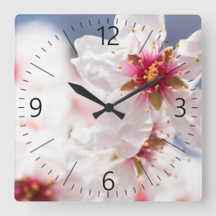 Blossom des Mandelbaums Quadratische Wanduhr